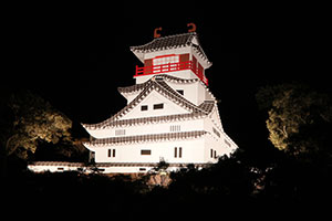 一夜城まつり 写真