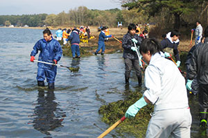 猪苗代湖漂着水草回収活動 写真
